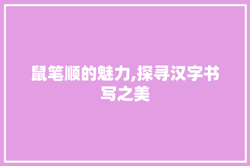 鼠笔顺的魅力,探寻汉字书写之美 网络技术