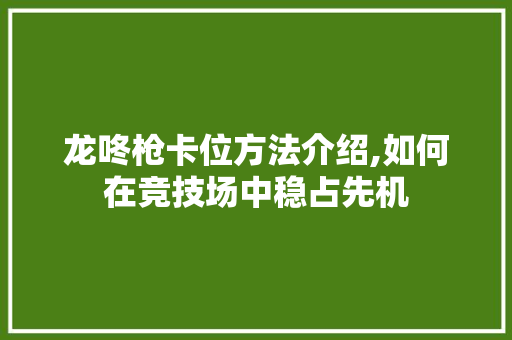 龙咚枪卡位方法介绍,如何在竞技场中稳占先机 网络技术