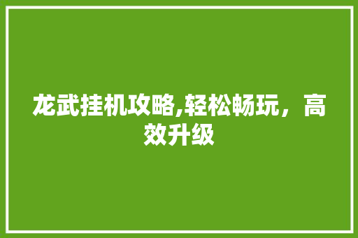 龙武挂机攻略,轻松畅玩,高效升级 电脑基础 龙武挂机攻略,轻松畅玩,高效升级 电脑基础
