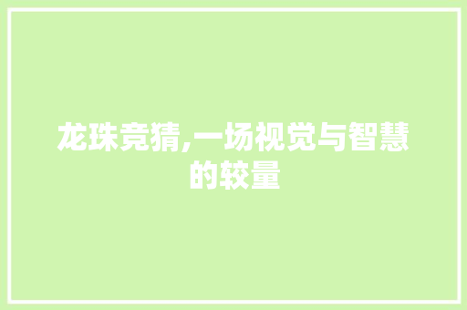龙珠竞猜,一场视觉与智慧的较量 编程语言