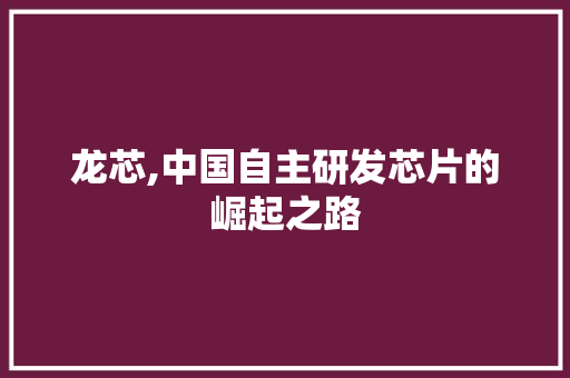 龙芯,中国自主研发芯片的崛起之路 网络技术
