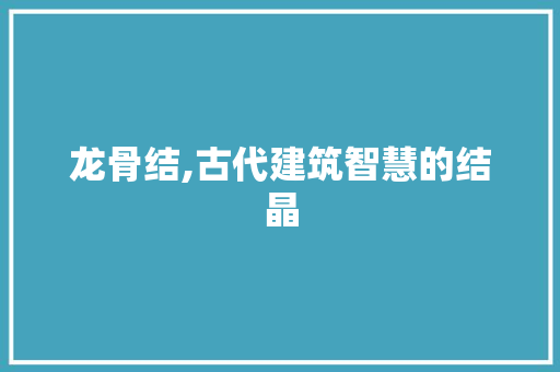 龙骨结,古代建筑智慧的结晶 操作系统