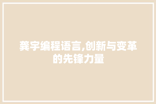 龚宇编程语言,创新与变革的先锋力量 电脑配置