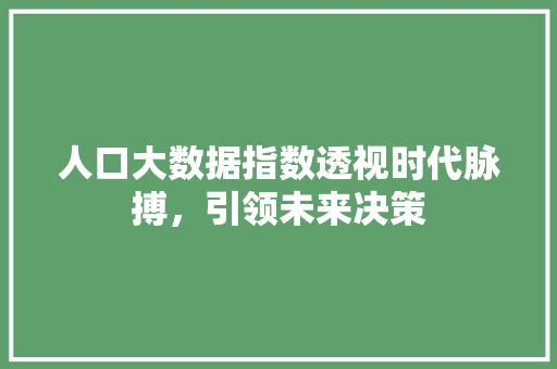人口大数据指数透视时代脉搏，引领未来决策