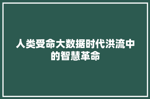 人类受命大数据时代洪流中的智慧革命
