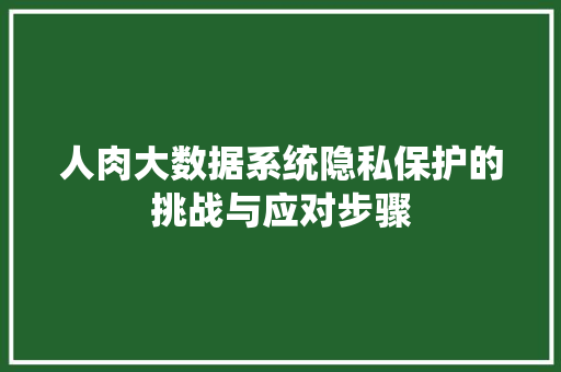 人肉大数据系统隐私保护的挑战与应对步骤