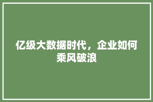 亿级大数据时代，企业如何乘风破浪