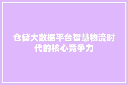 仓储大数据平台智慧物流时代的核心竞争力