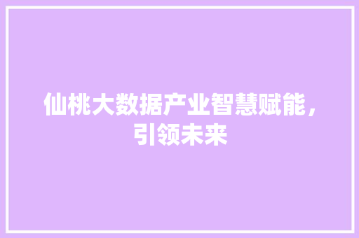 仙桃大数据产业智慧赋能，引领未来 网络技术