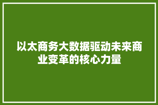 以太商务大数据驱动未来商业变革的核心力量 编程语言