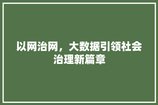 以网治网，大数据引领社会治理新篇章
