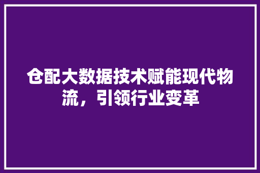 仓配大数据技术赋能现代物流，引领行业变革