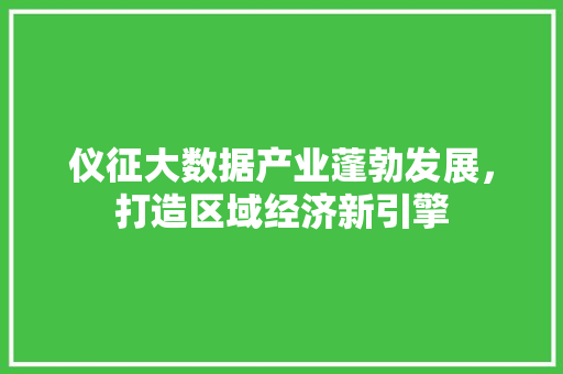 仪征大数据产业蓬勃发展，打造区域经济新引擎