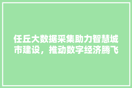 任丘大数据采集助力智慧城市建设，推动数字经济腾飞 网络技术
