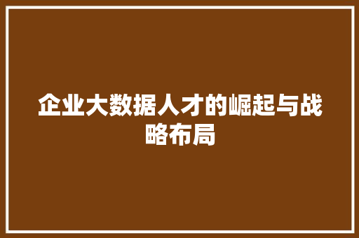 企业大数据人才的崛起与战略布局 电脑故障维修