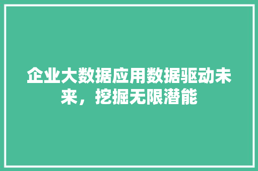 企业大数据应用数据驱动未来，挖掘无限潜能 电脑基础