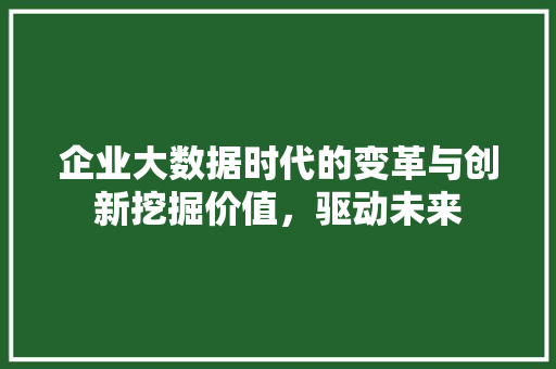 企业大数据时代的变革与创新挖掘价值,驱动未来 电脑故障维修 企业大数据时代的变革与创新挖掘价值,驱动未来 电脑故障维修