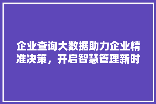 企业查询大数据助力企业精准决策，开启智慧管理新时代