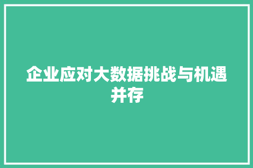 企业应对大数据挑战与机遇并存