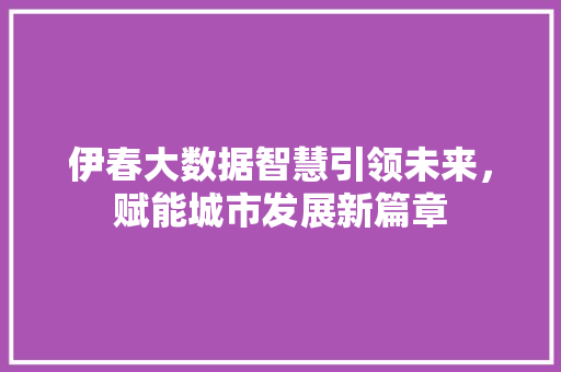 伊春大数据智慧引领未来，赋能城市发展新篇章