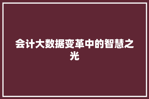 会计大数据变革中的智慧之光 操作系统