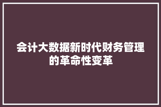 会计大数据新时代财务管理的革命性变革 网络技术