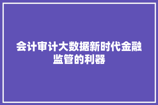 会计审计大数据新时代金融监管的利器 操作系统