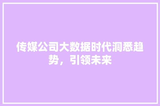 传媒公司大数据时代洞悉趋势，引领未来