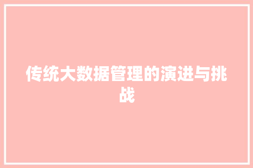 传统大数据管理的演进与挑战 编程语言