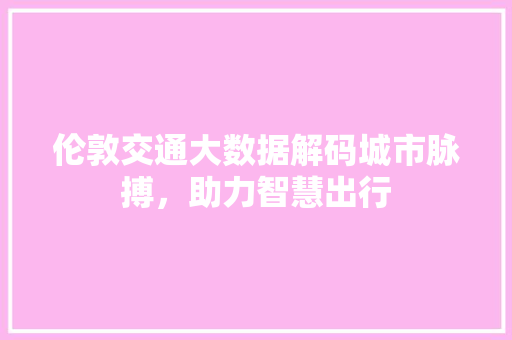 伦敦交通大数据解码城市脉搏，助力智慧出行 编程语言