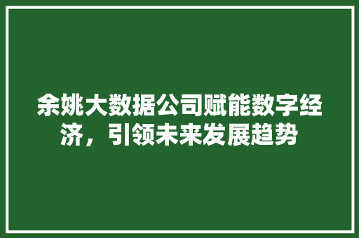 余姚大数据公司赋能数字经济，引领未来发展趋势 编程语言