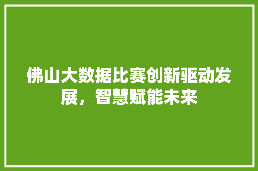 佛山大数据比赛创新驱动发展，智慧赋能未来