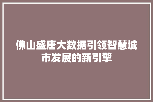 佛山盛唐大数据引领智慧城市发展的新引擎