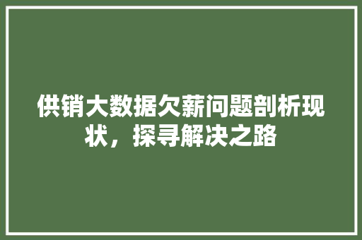 供销大数据欠薪问题剖析现状，探寻解决之路