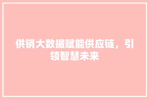 供销大数据赋能供应链，引领智慧未来