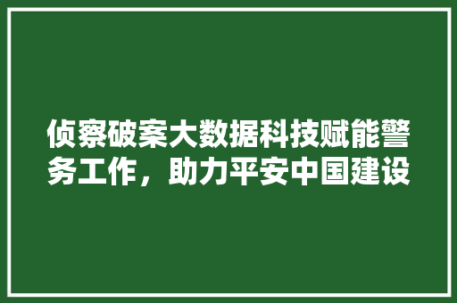 侦察破案大数据科技赋能警务工作,助力平安中国建设 编程语言 侦察破案大数据科技赋能警务工作,助力平安中国建设 编程语言