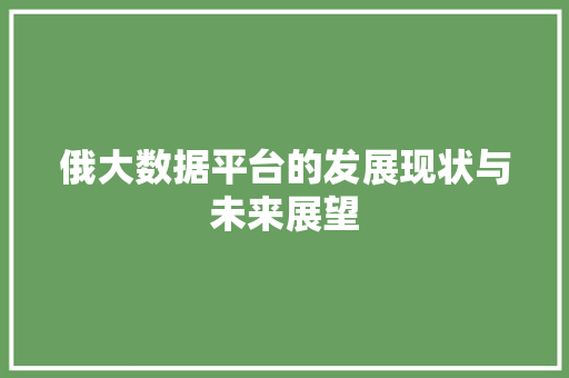 俄大数据平台的发展现状与未来展望 网络技术