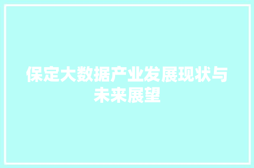 保定大数据产业发展现状与未来展望 编程语言
