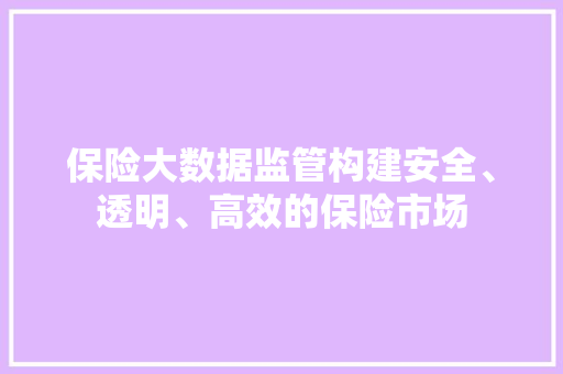保险大数据监管构建安全、透明、高效的保险市场