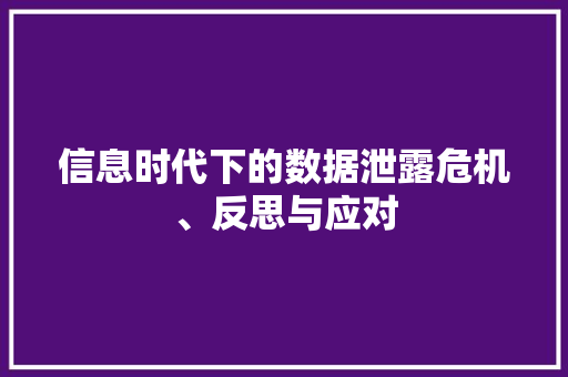 信息时代下的数据泄露危机、反思与应对