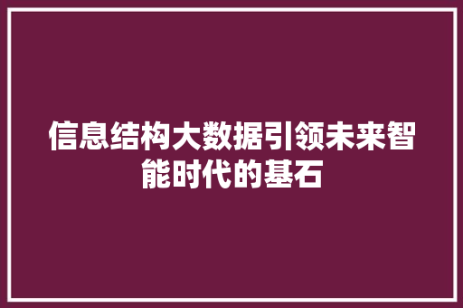 信息结构大数据引领未来智能时代的基石