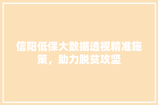 信阳低保大数据透视精准施策，助力脱贫攻坚 电脑故障维修