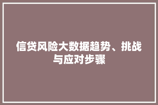 信贷风险大数据趋势、挑战与应对步骤 网络技术
