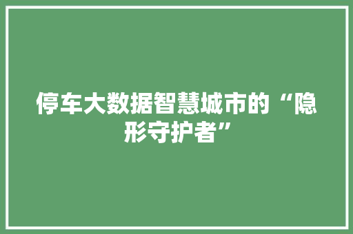 停车大数据智慧城市的“隐形守护者”