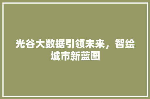 光谷大数据引领未来，智绘城市新蓝图