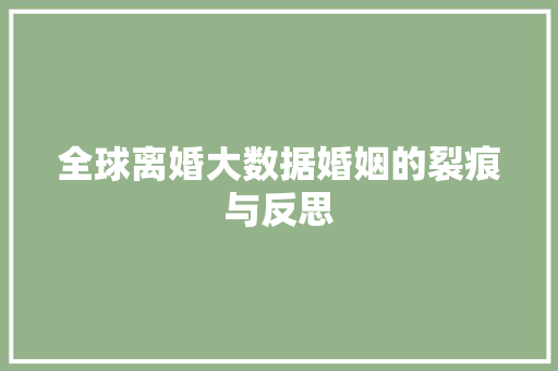 全球离婚大数据婚姻的裂痕与反思 全球离婚大数据婚姻的裂痕与反思