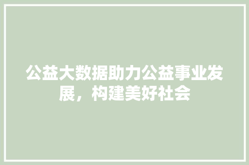 公益大数据助力公益事业发展，构建美好社会