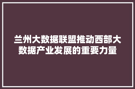 兰州大数据联盟推动西部大数据产业发展的重要力量