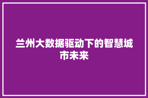 兰州大数据驱动下的智慧城市未来