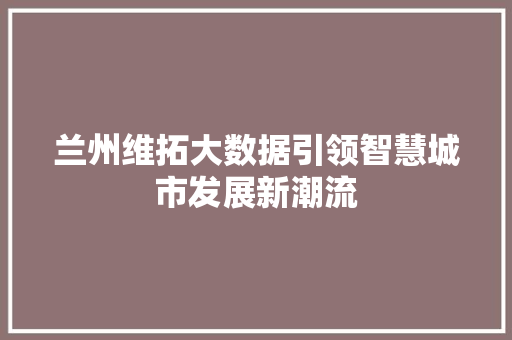 兰州维拓大数据引领智慧城市发展新潮流